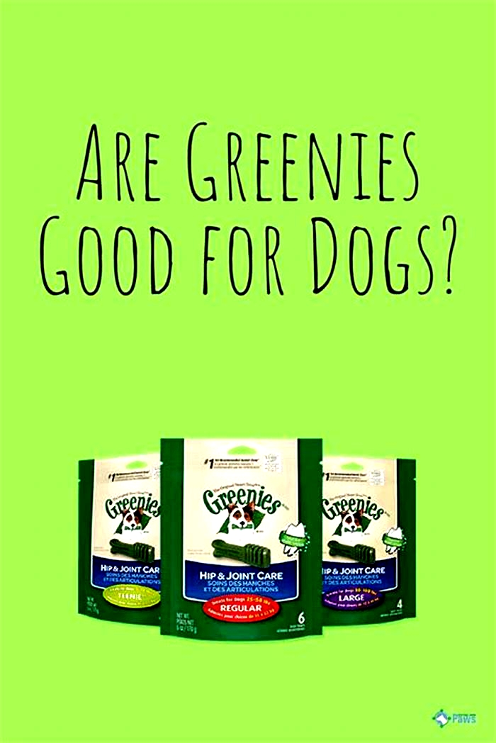 are greenies healthy for dogs