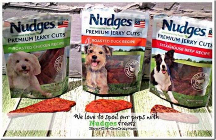 are nudges dog treats safe reddit