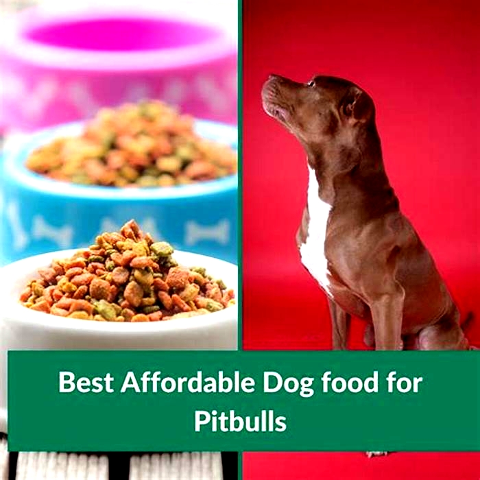 best affordable dog food for pitbulls