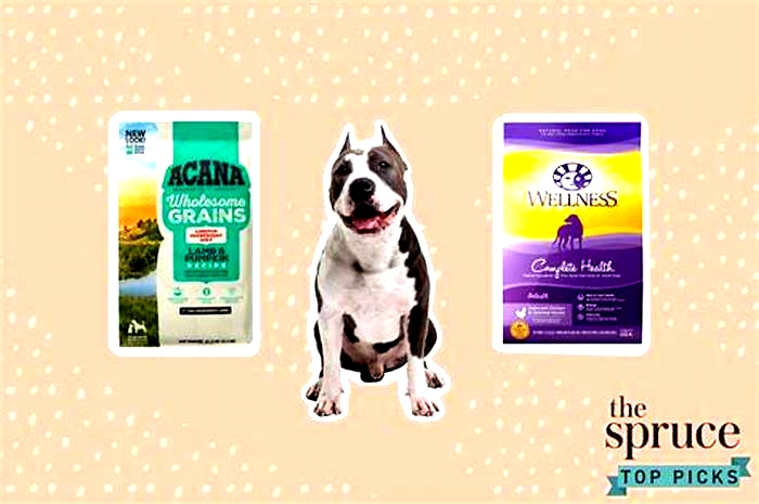 best brand of dog food for pitbulls