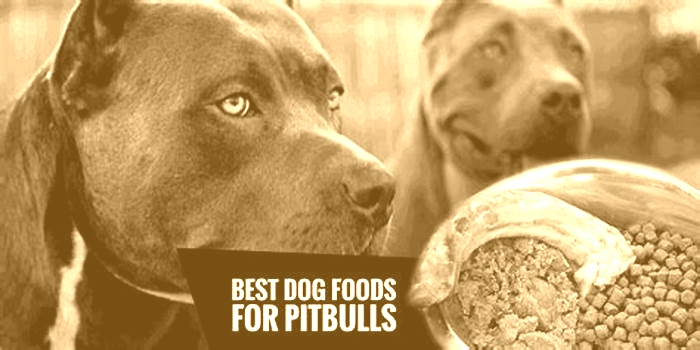 best dog food for blue nose pit bulls