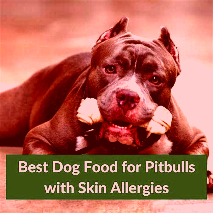 best dog food for blue pitbulls with allergies