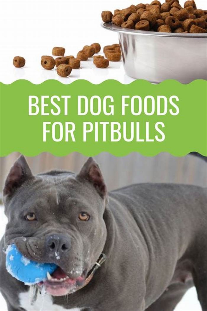 best dog food for female pitbulls