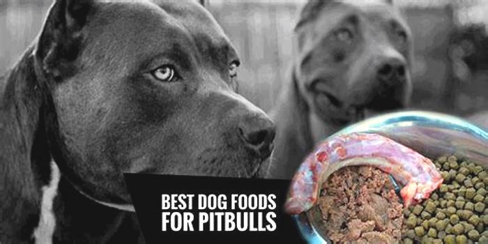 best dog food for large pitbull