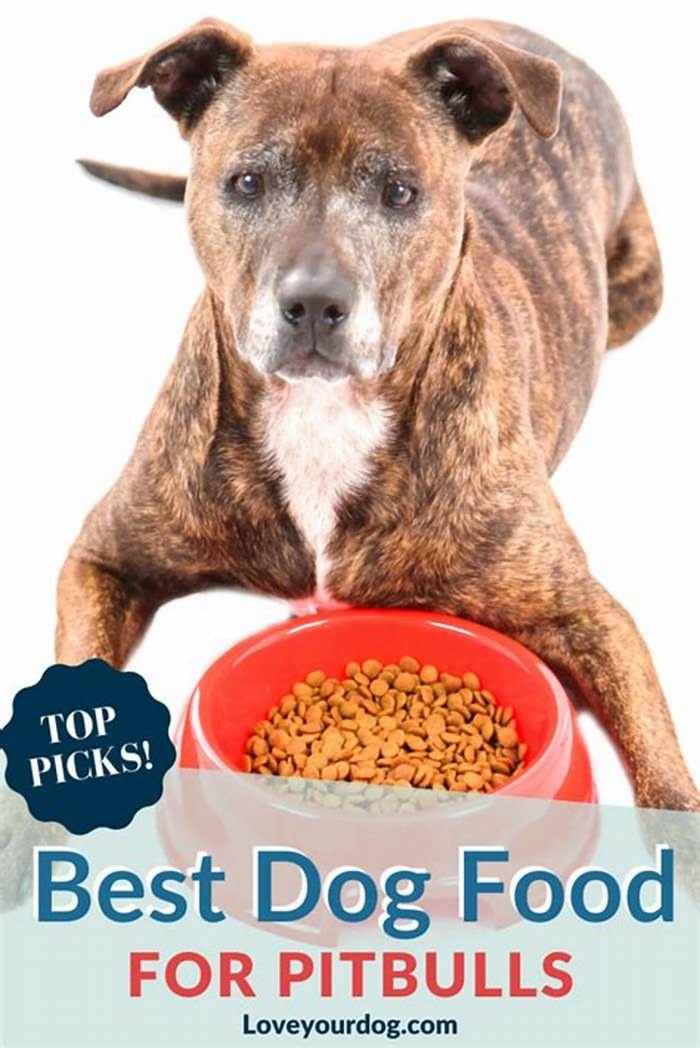 best dog food for pitbull adults