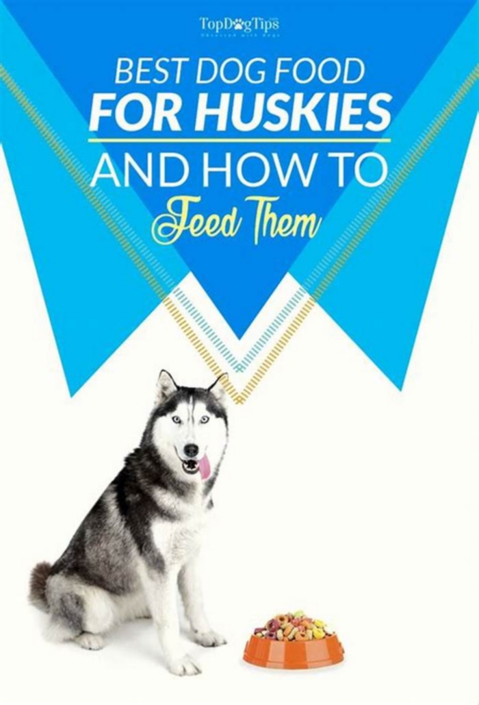 best dog food for pitbull husky mix