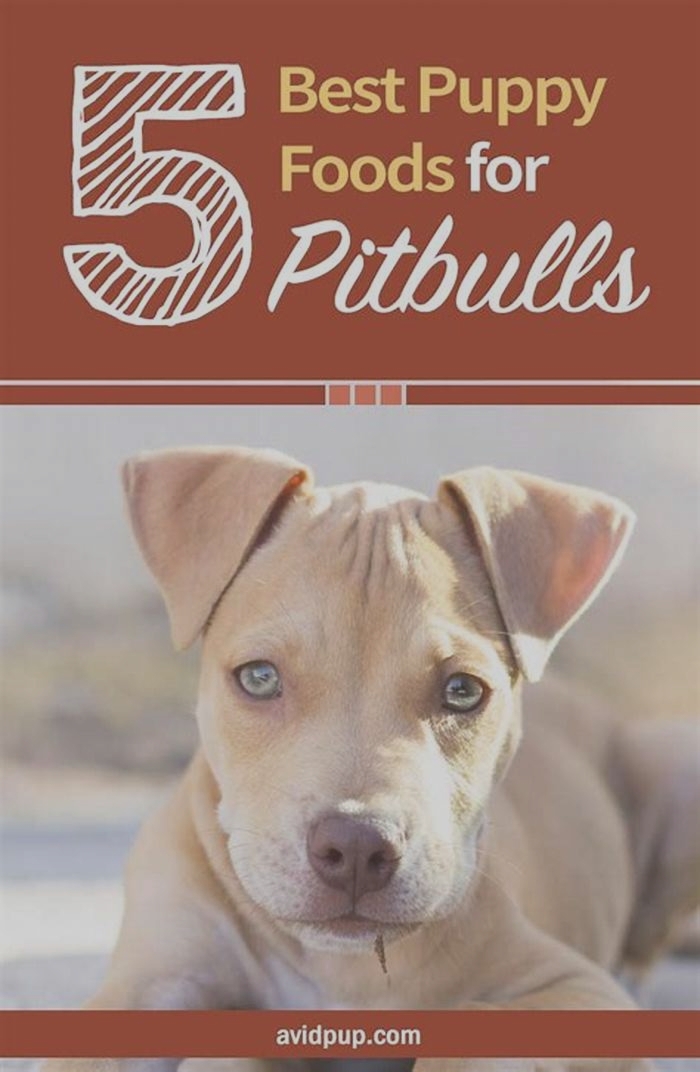 best dog food for pitbull lab mix puppy