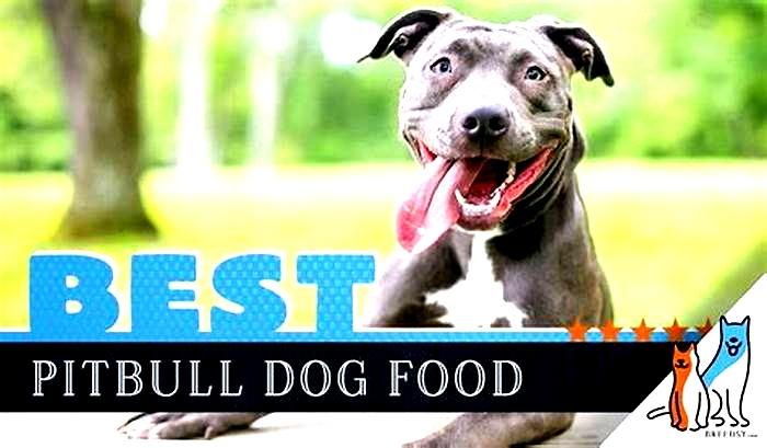 best dog food for pitbull terrier