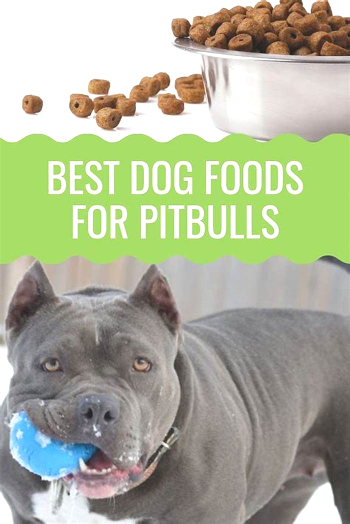 best dog food for pitbull to lose weight