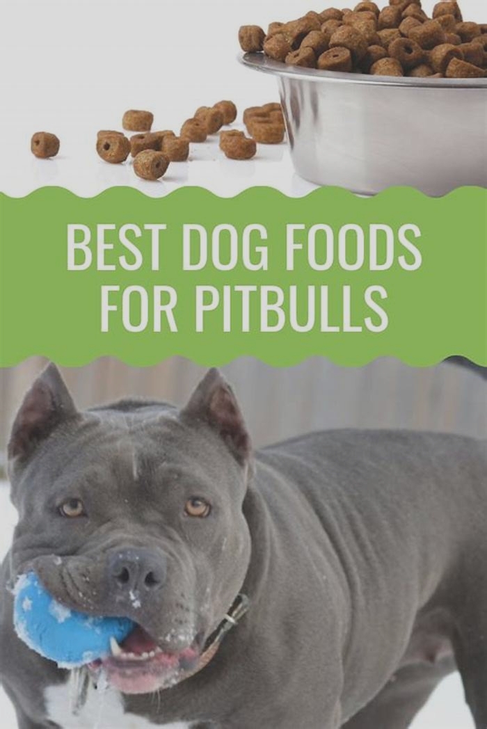 best dog food for pitbulls petco