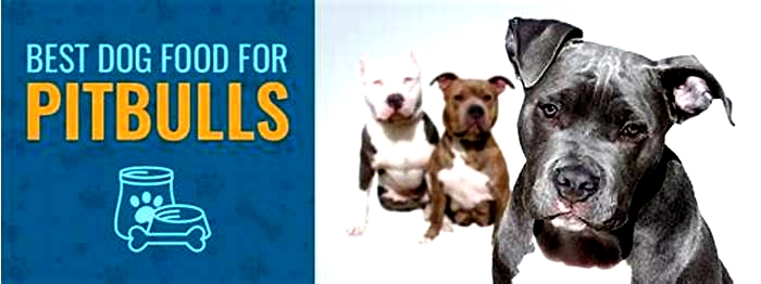 best dog food for pitbulls with dry skin