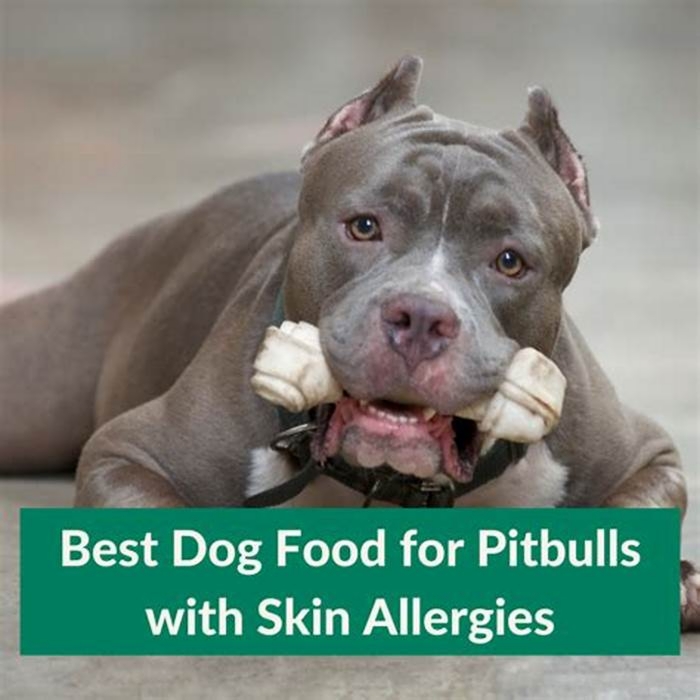 best dog food for pitbulls with skin allergies reddit