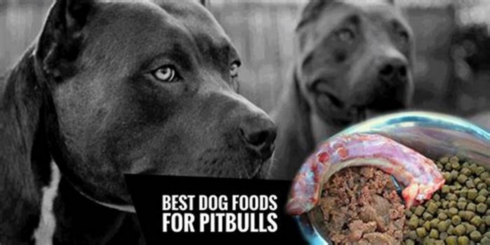 best dog food for red nose pitbull