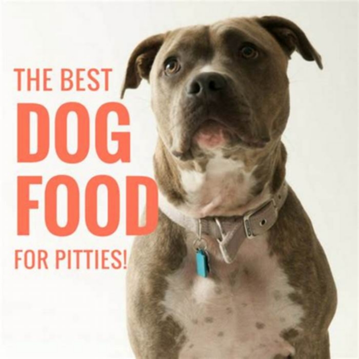 best dog food for sensitive pit bulls