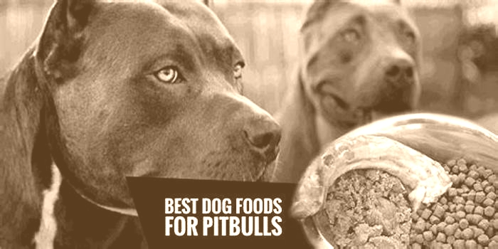 best dog food to make your pitbull big