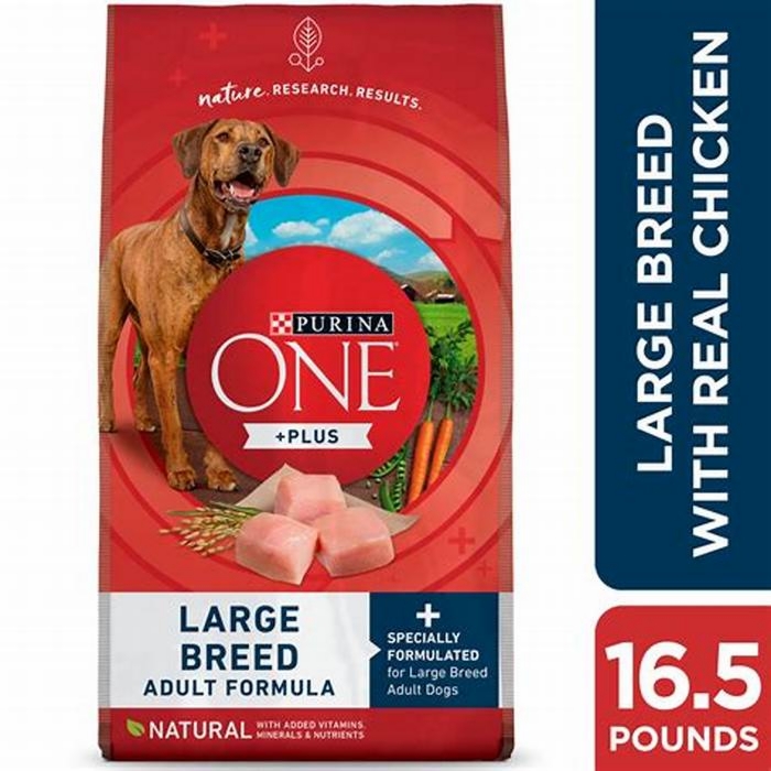 best dry dog food for large dogs