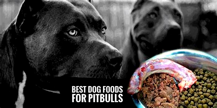 best healthy dog food for pitbulls