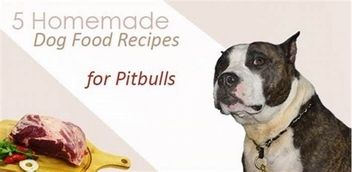 best homemade dog food recipes for pitbulls