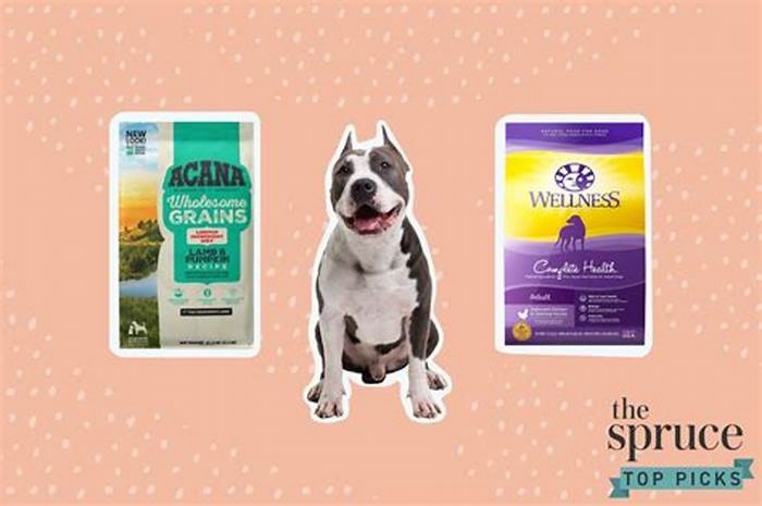 best kirkland dog food for pitbull