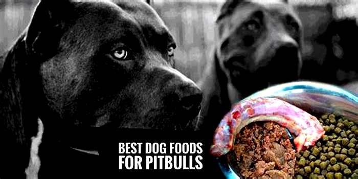 best organic dog food for pitbull