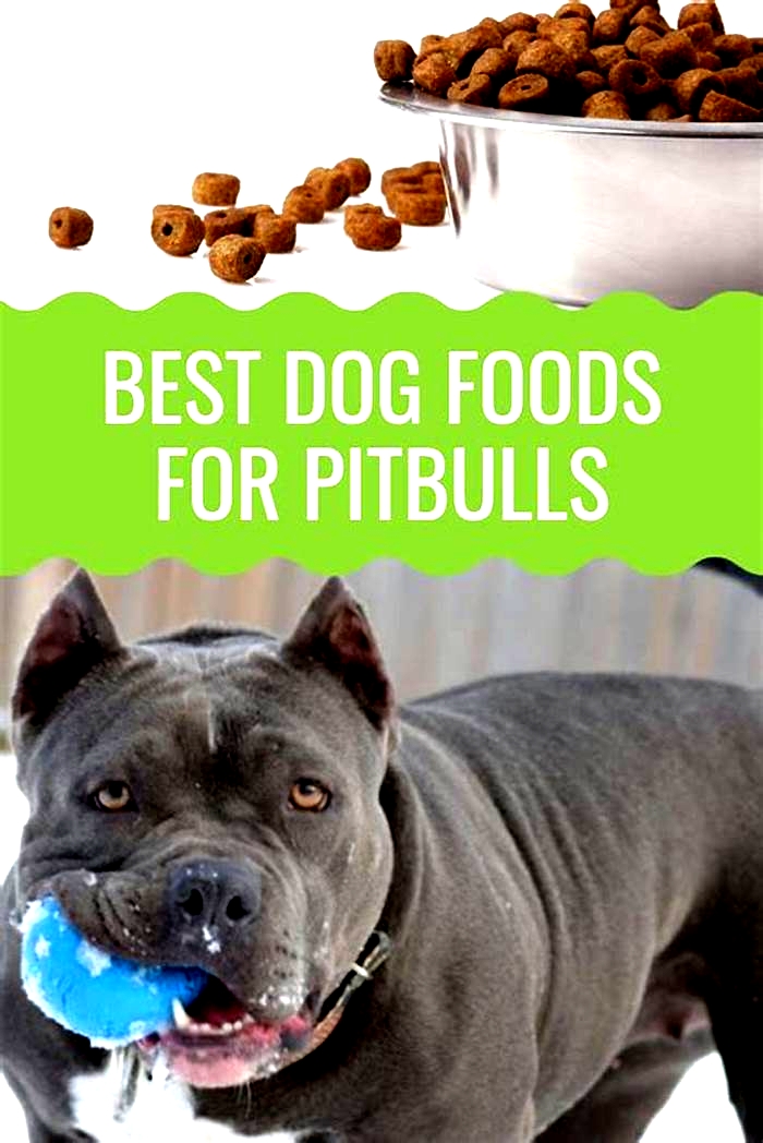 best puppy food for pitbull boxer mix