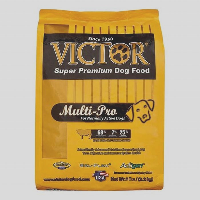 best victor dog food for pitbulls