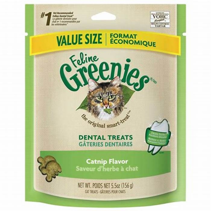 can cats eat dog greenies dental treats