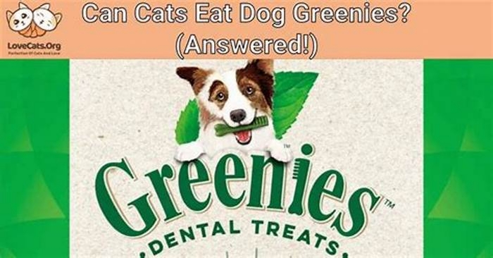 can cats eat greenies dog treats