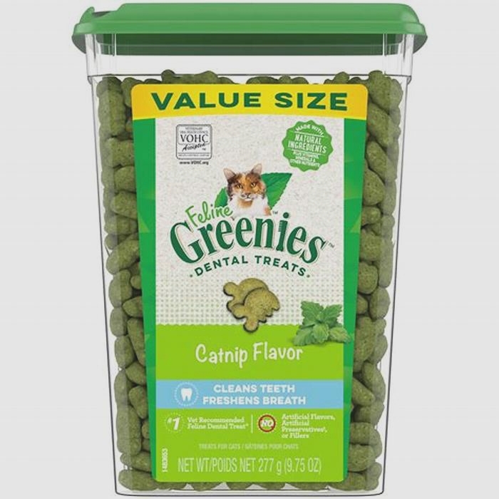 can cats have greenies dog treats