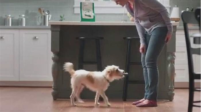 greenies dog treats commercial