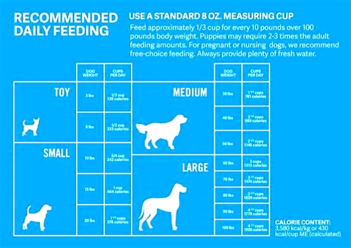 health extension dog food feeding guide