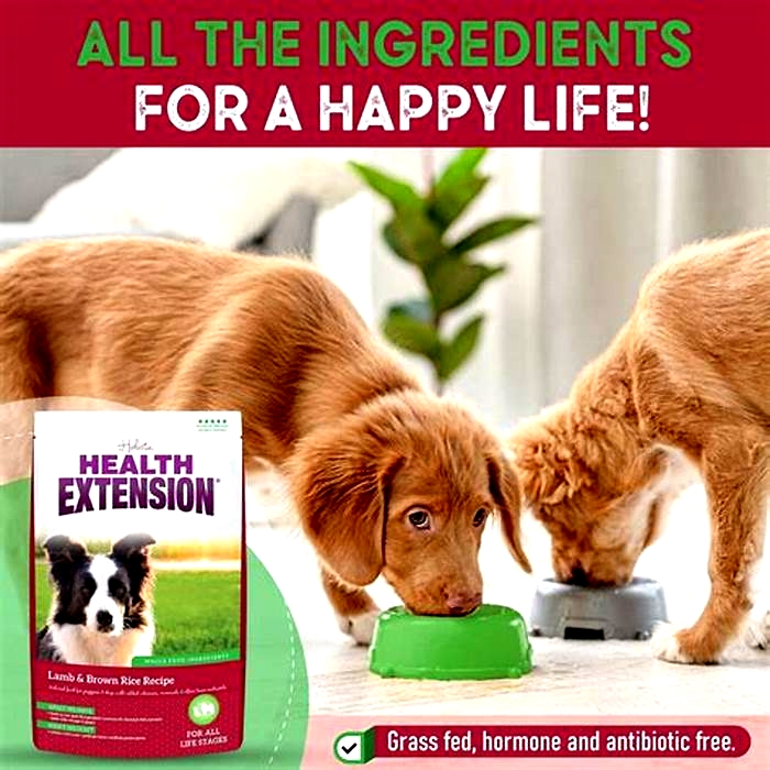 health extension dog food good