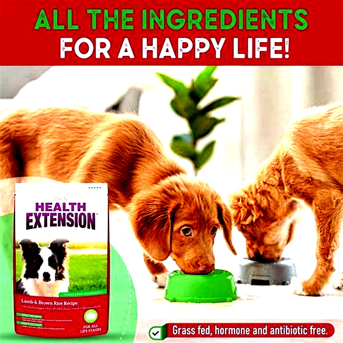 health extension dog food in stores