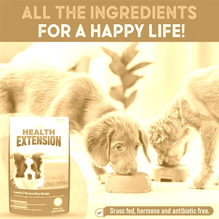 health extension dog food petsmart