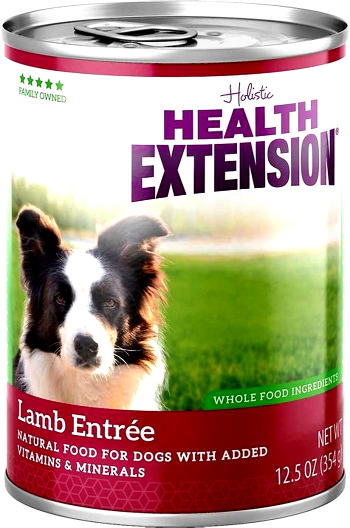 health extension dog food review reddit