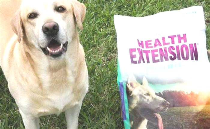 health extension dog food review