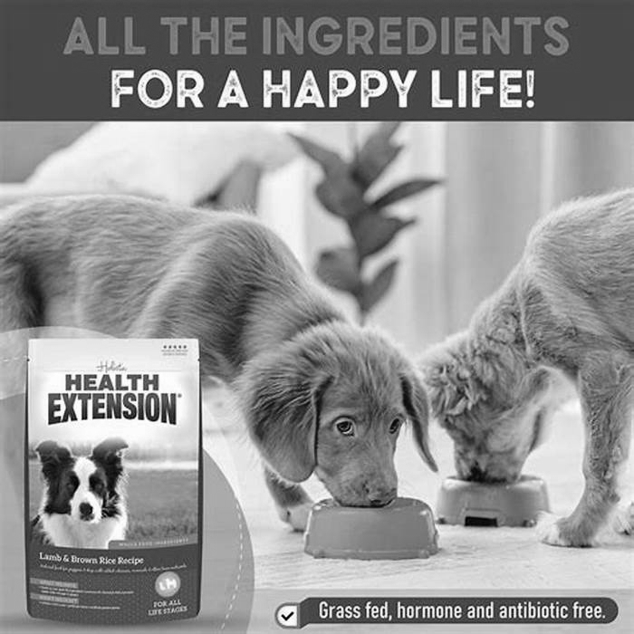 health extension dog food where to buy