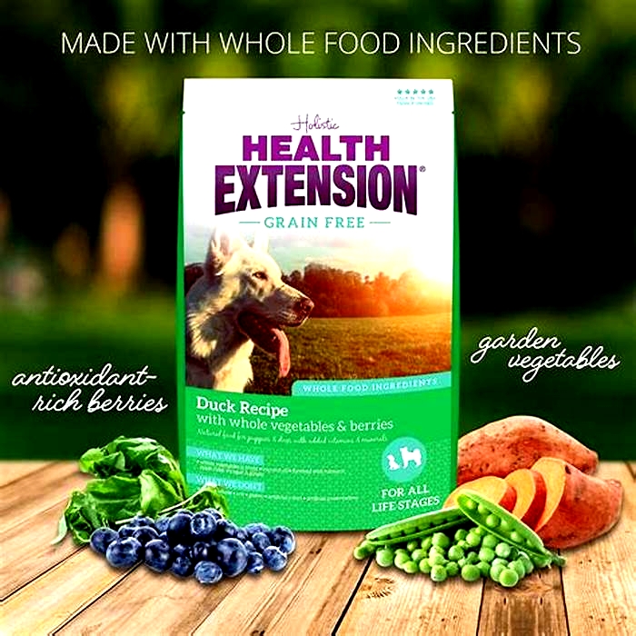 health extension duck dog food