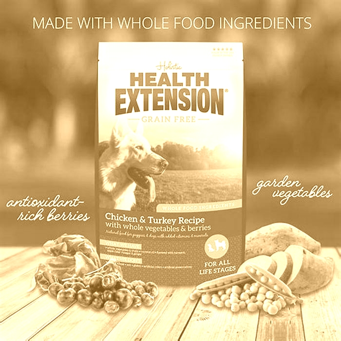 health extension grain free chicken turkey recipe dry dog food