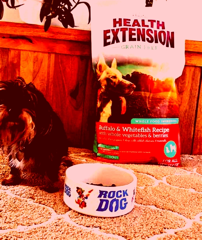 holistic health extension dog food reviews