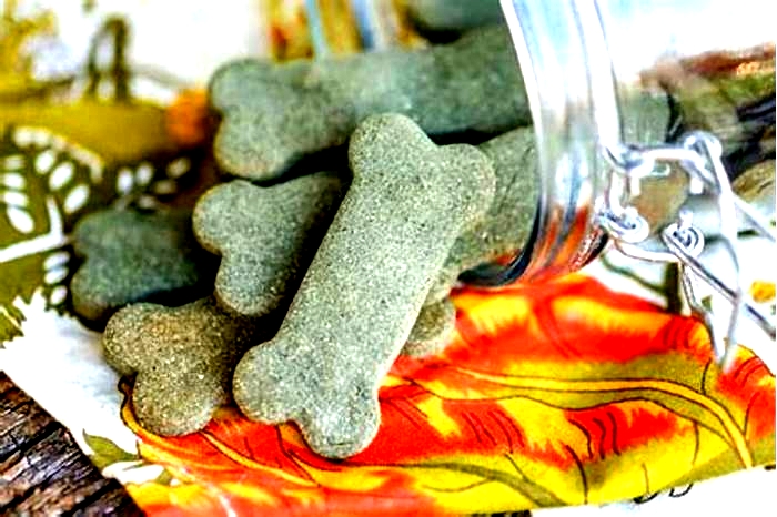 homemade greenies dog treats