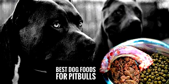 is good dog food for pitbulls