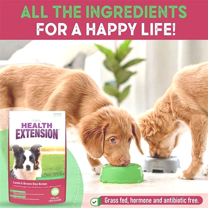 is health extension a good dog food