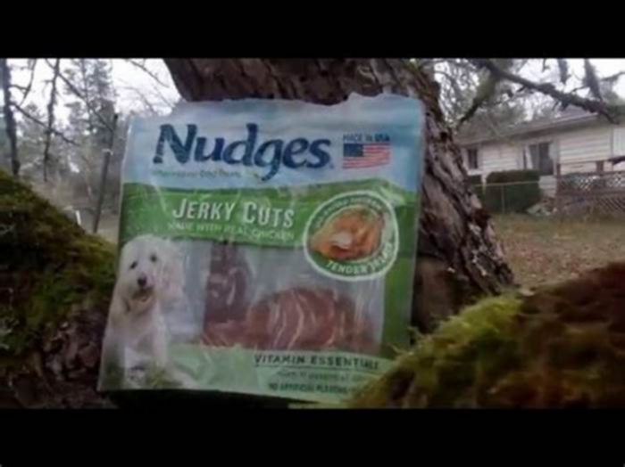 nudges dog treats commercial