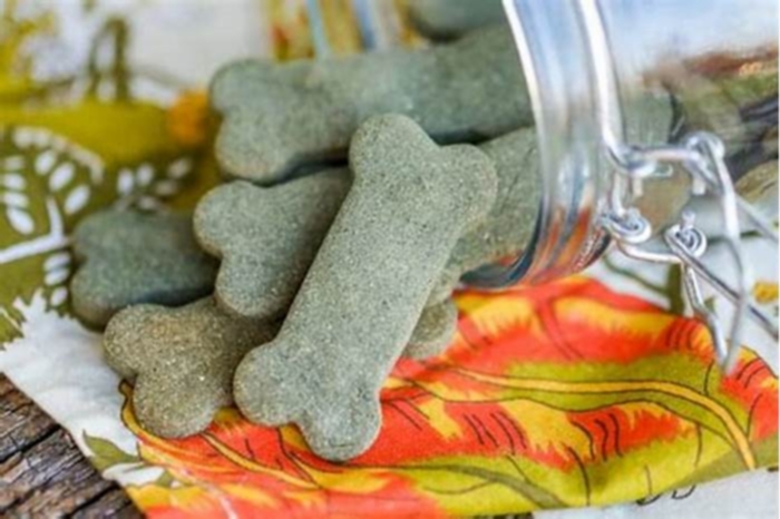 recipe for greenies dog treats