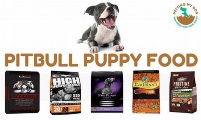 top 5 best dog food for pitbull