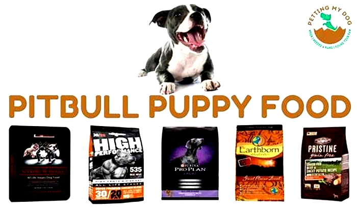 top 5 best dog foods for pitbulls