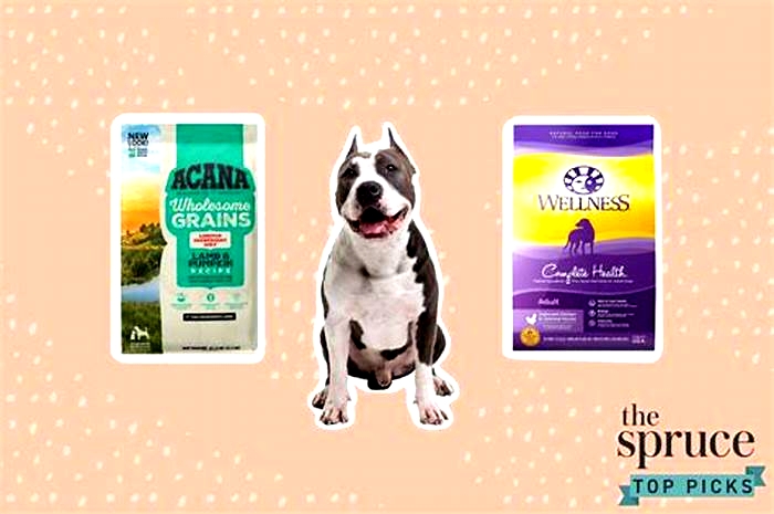 what s the best dog food brand for pitbulls