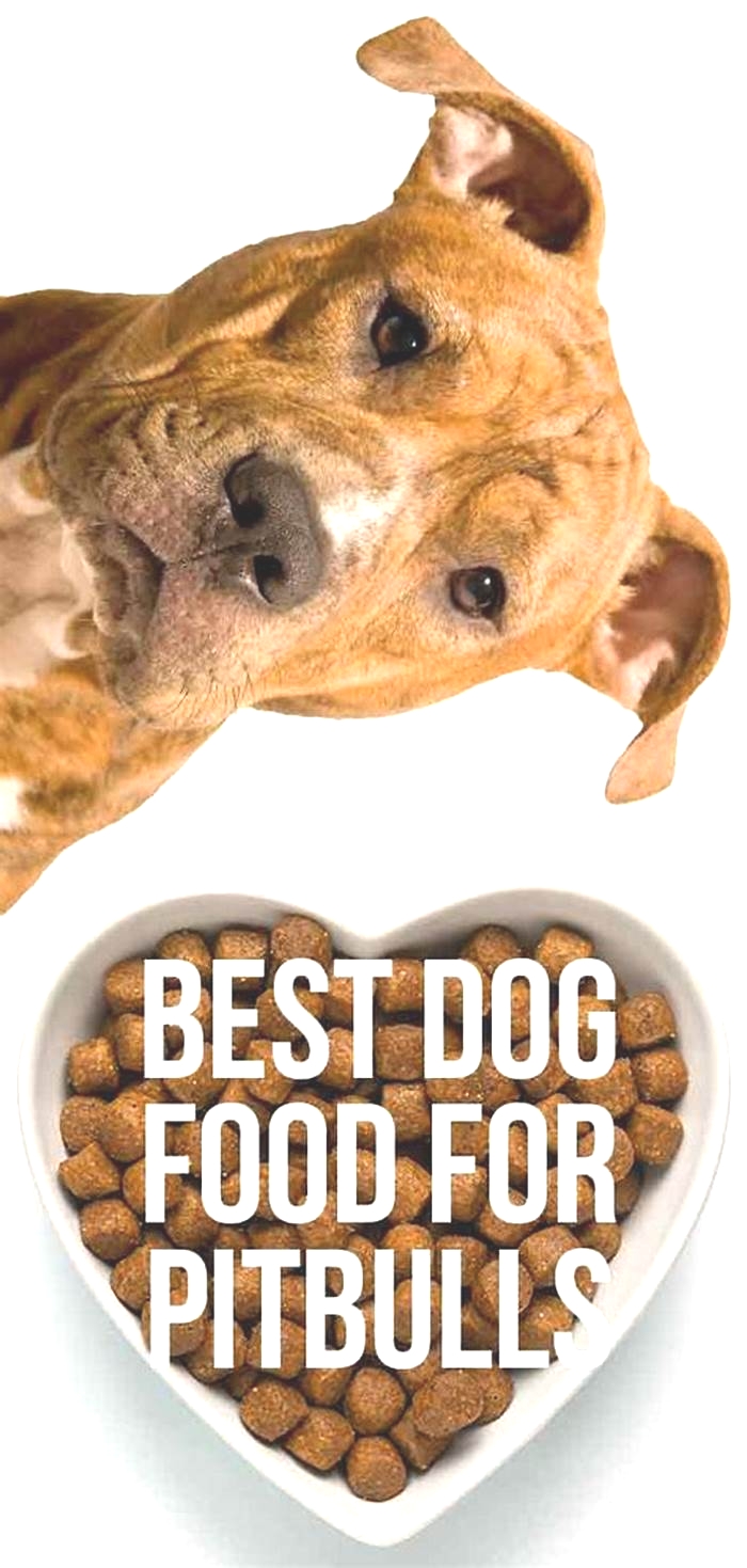 what's the best dog food for pitbulls at walmart