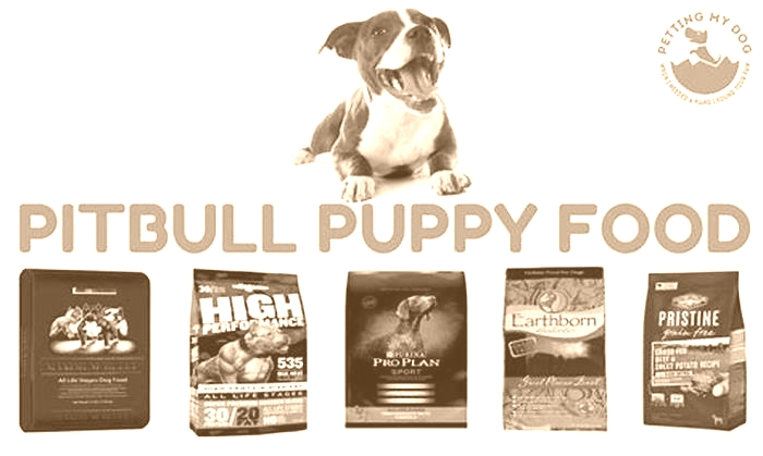 what's the best dog food for pitbulls to gain weight